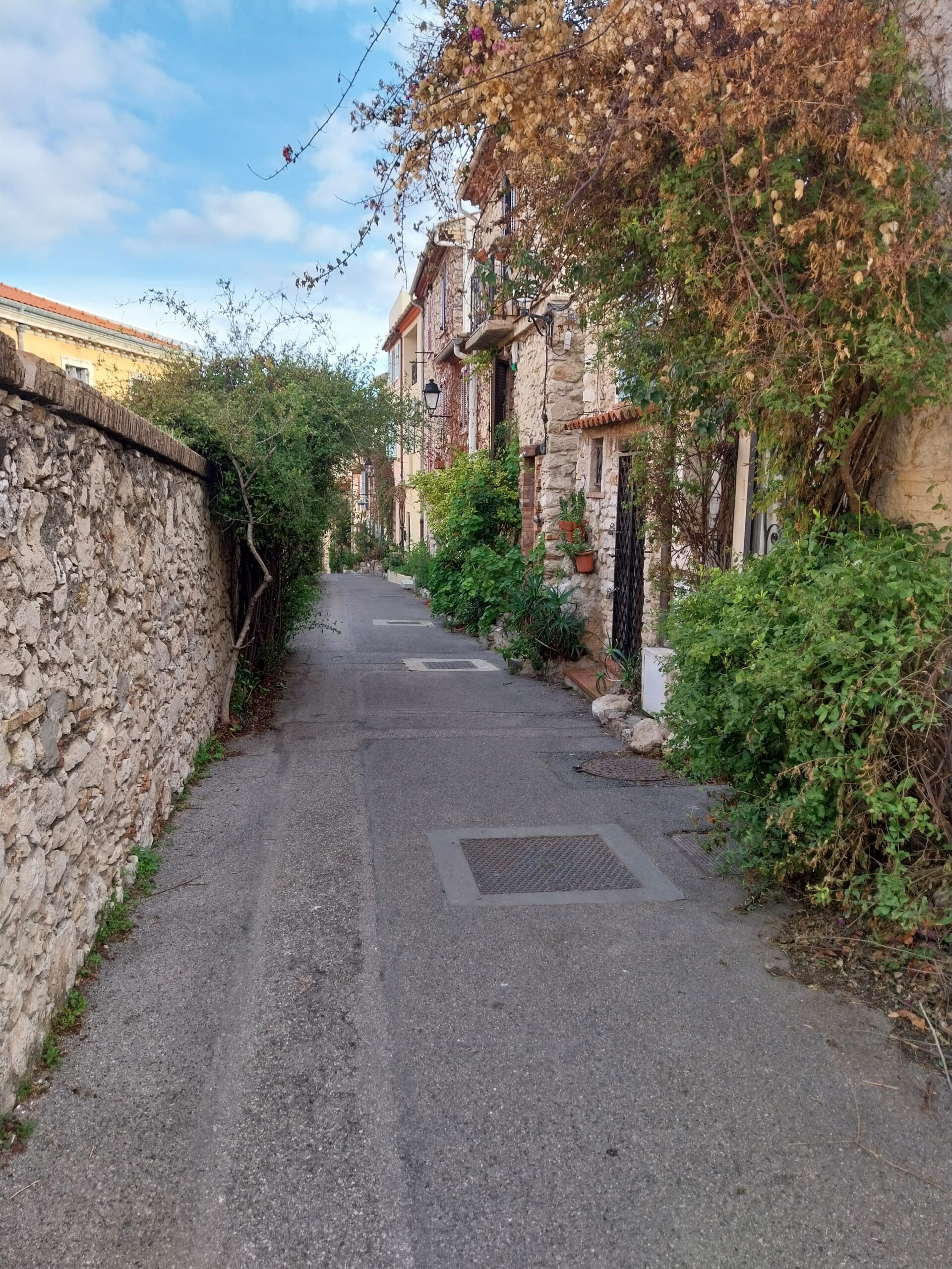 Quoi de neuf en février 2026